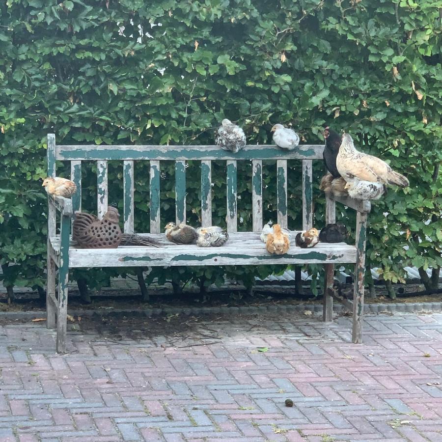 B&B Bos-Inn Meppen エクステリア 写真